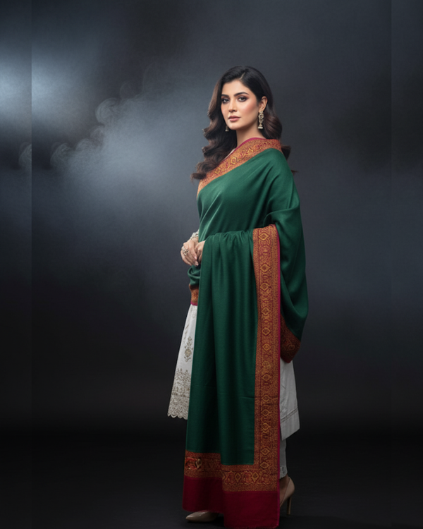 Pashmina Wool With Jamawar Moonlight Border Shawl KS1025481